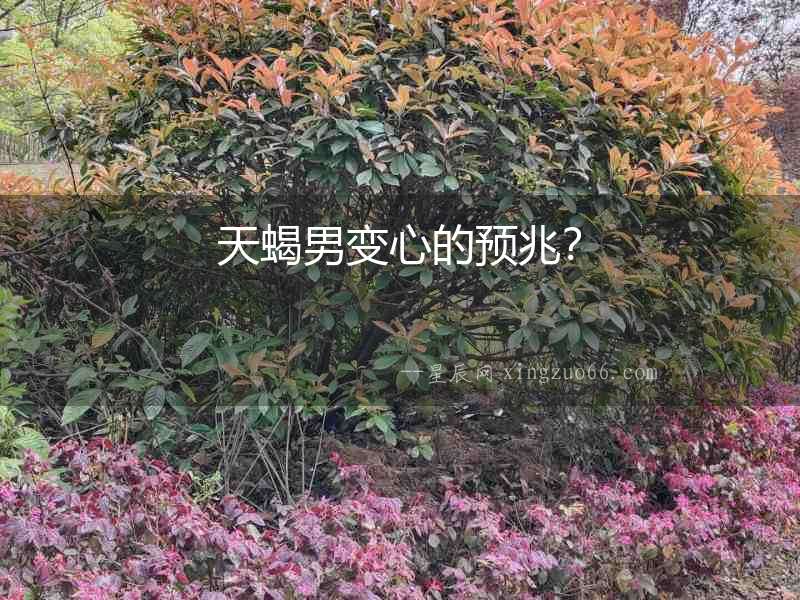 天蝎男變心的預(yù)兆？
