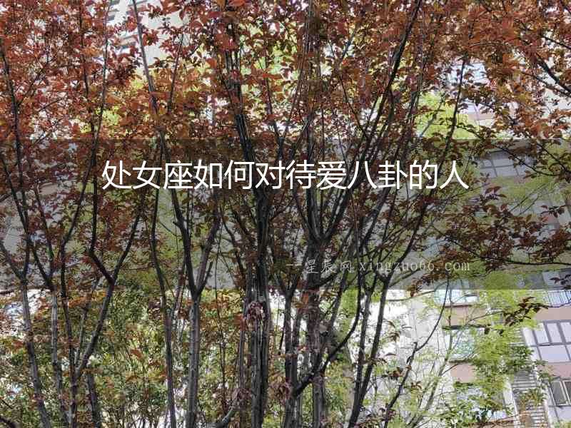 處女座如何對待愛八卦的人