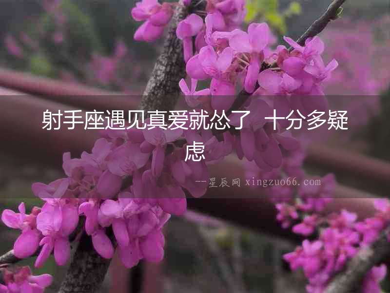 射手座遇見真愛就慫了  十分多疑慮