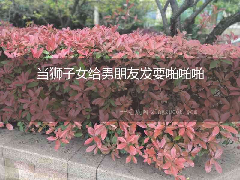 當(dāng)獅子女給男朋友發(fā)要啪啪啪