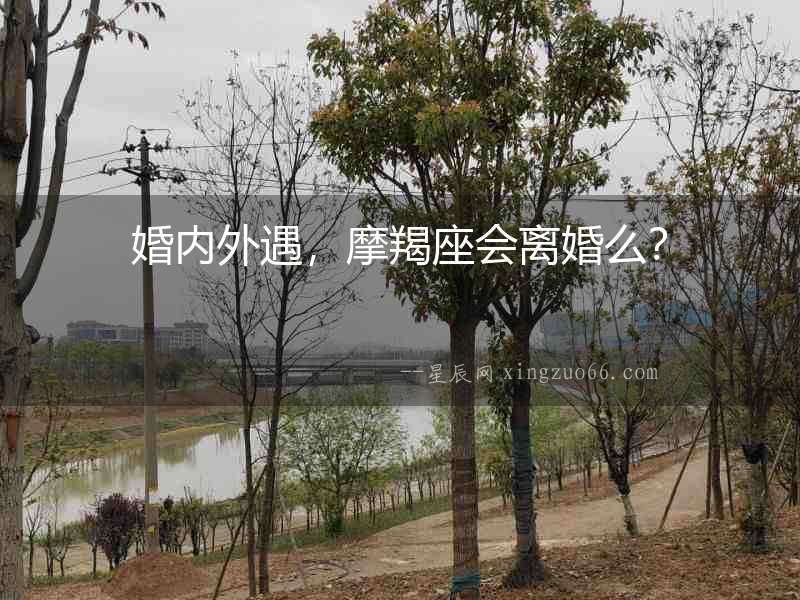 婚內外遇，摩羯座會離婚么？