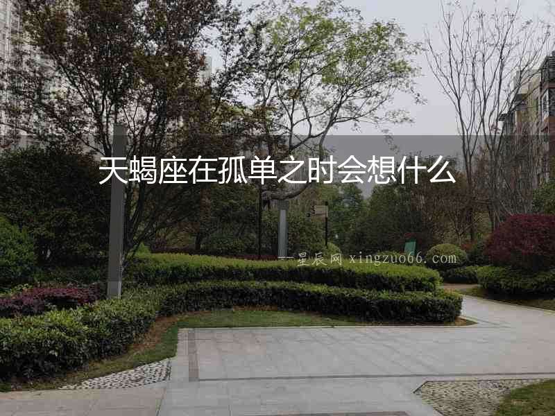 天蝎座在孤單之時會想什么