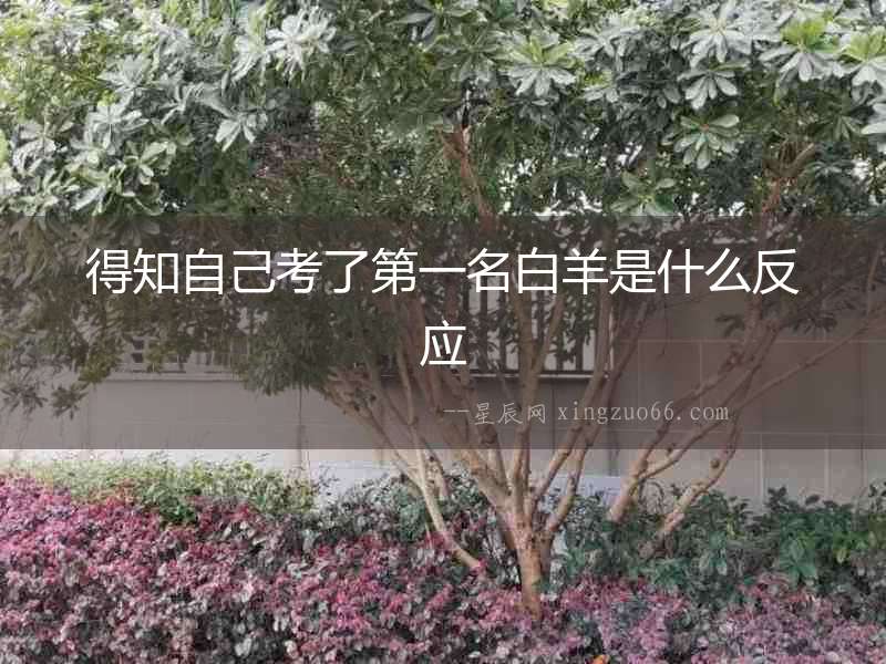 得知自己考了第一名白羊是什么反應(yīng)