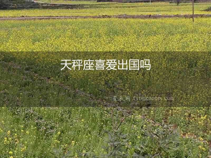天秤座喜愛出國嗎