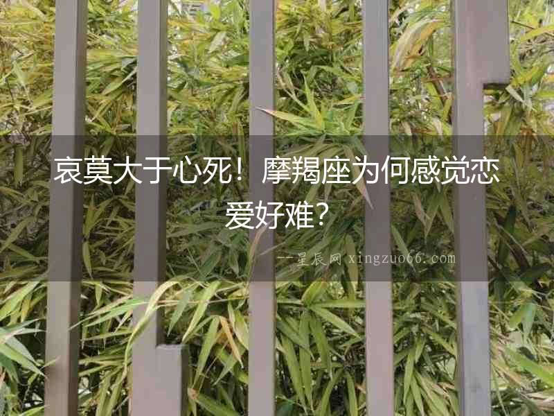 哀莫大于心死！摩羯座為何感覺戀愛好難？