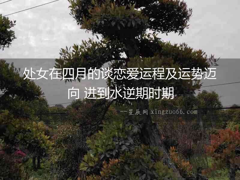 處女在四月的談戀愛運程及運勢邁向 進到水逆期時期