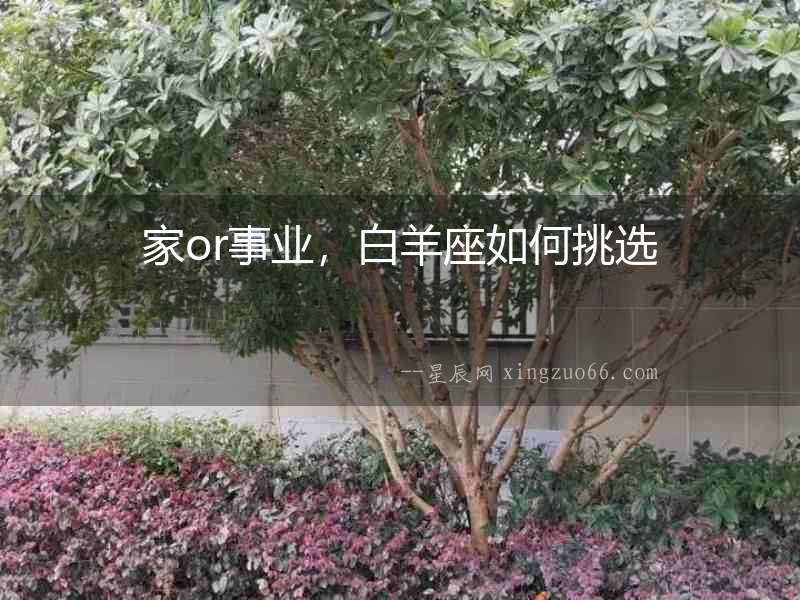 家or事業，白羊座如何挑選