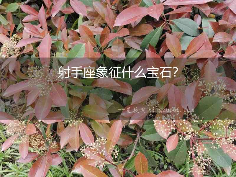 射手座象征什么寶石？