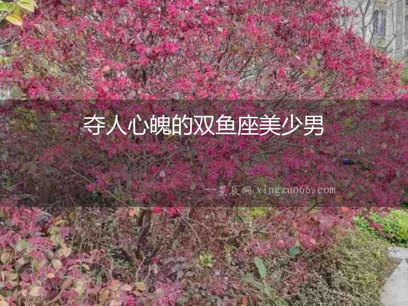 奪人心魄的雙魚座美少男