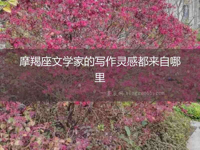 摩羯座文學家的寫作靈感都來自哪里