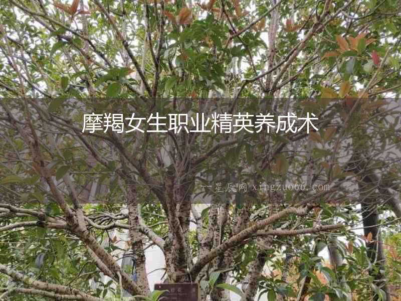 摩羯女生職業(yè)精英養(yǎng)成術(shù)