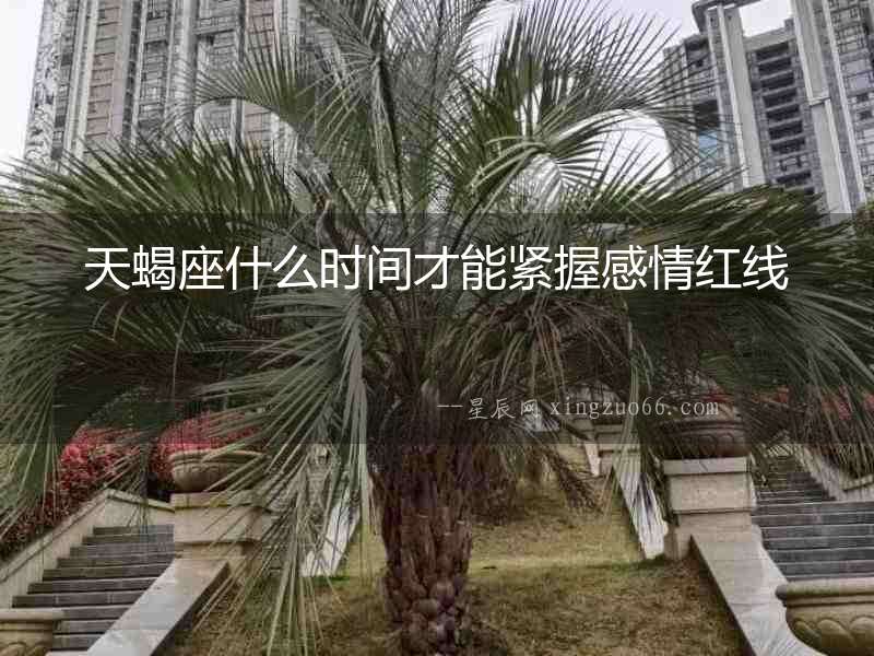 天蝎座什么時間才能緊握感情紅線