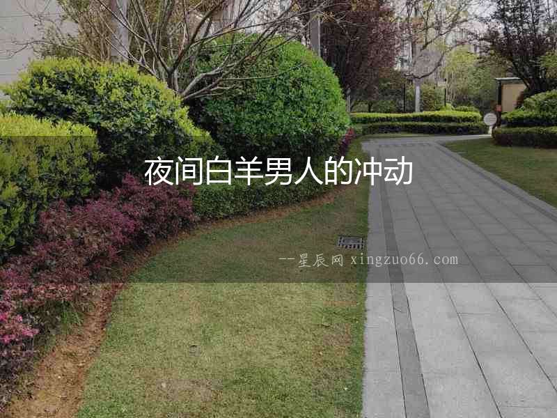 夜間白羊男人的沖動