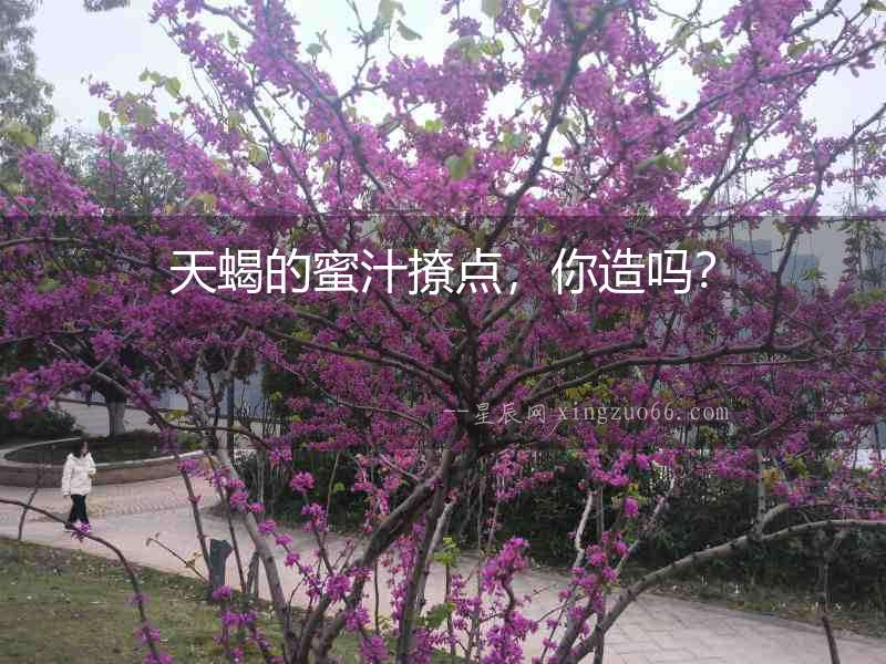 天蝎的蜜汁撩點，你造嗎？
