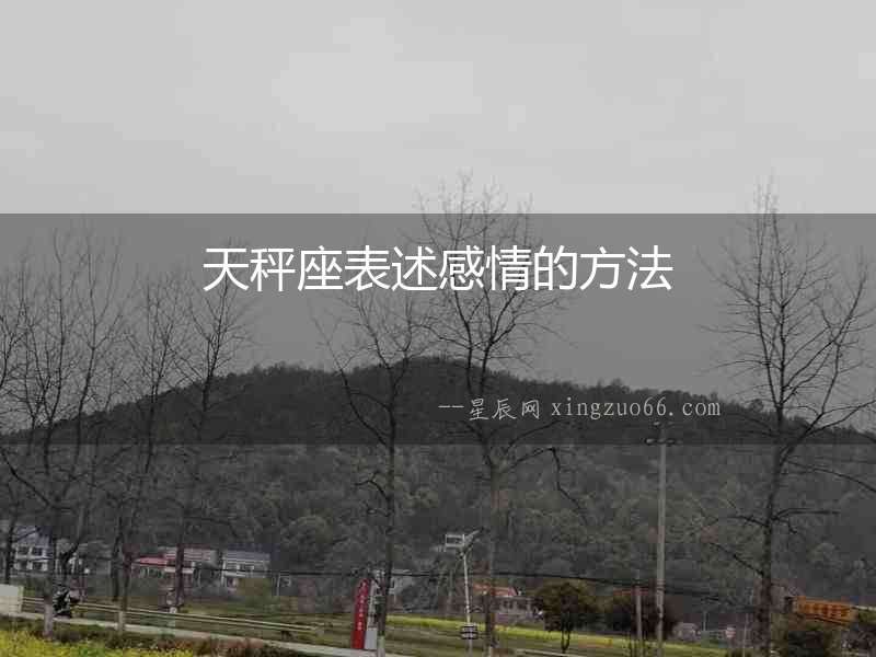 天秤座表述感情的方法