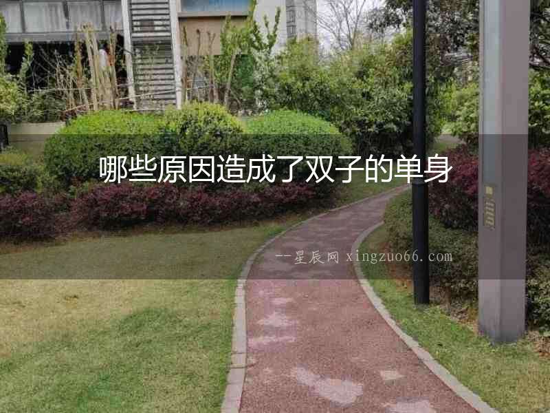 哪些原因造成了雙子的單身