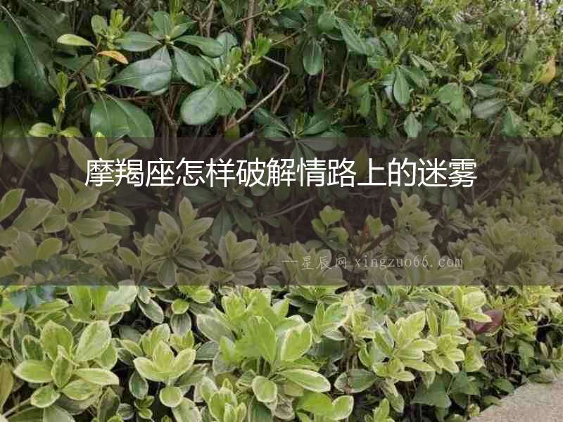摩羯座怎樣破解情路上的迷霧