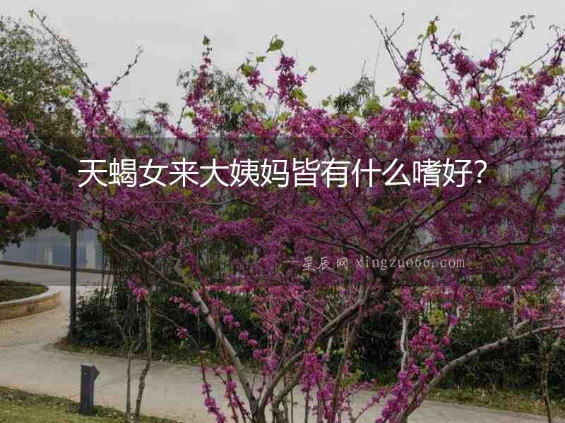 天蝎女來大姨媽皆有什么嗜好？