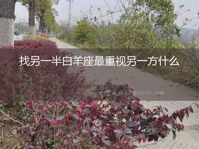 找另一半白羊座最重視另一方什么