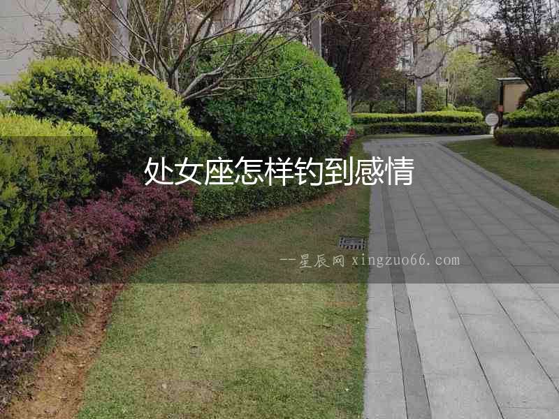 處女座怎樣釣到感情