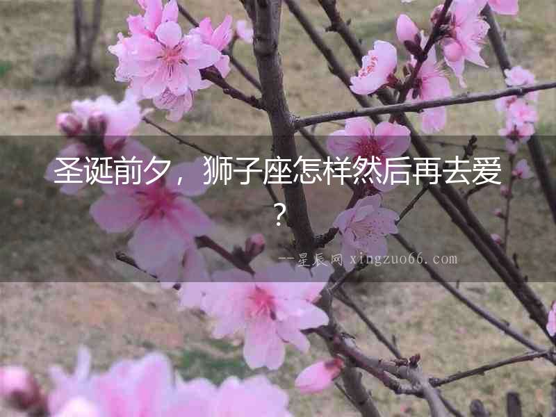圣誕前夕，獅子座怎樣然后再去愛？