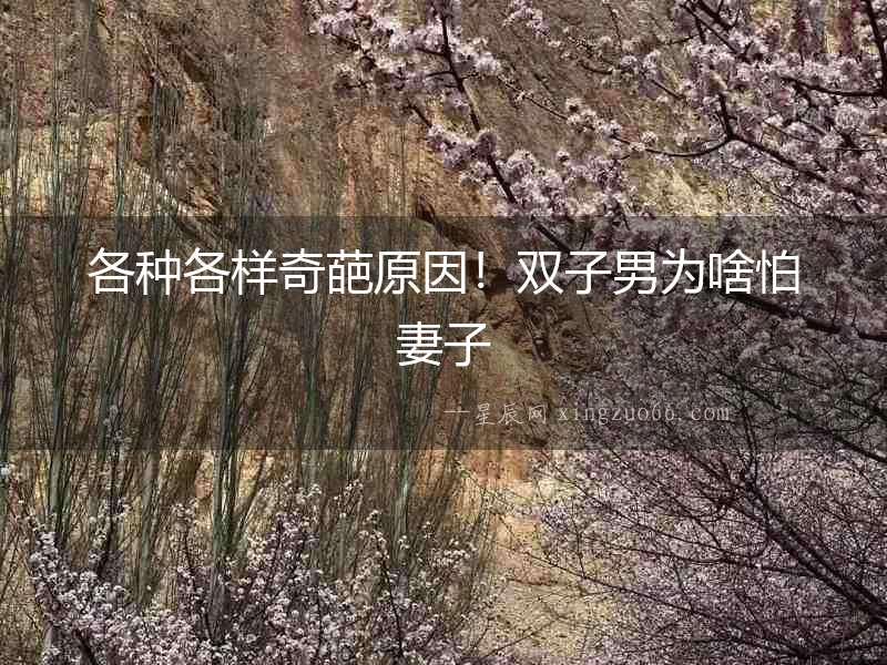 各種各樣奇葩原因！雙子男為啥怕妻子