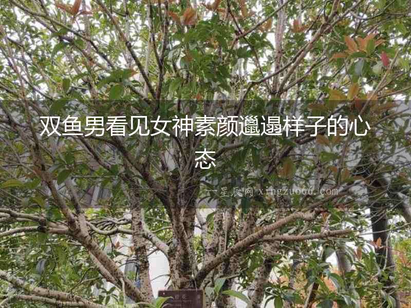 雙魚男看見女神素顏邋遢樣子的心態
