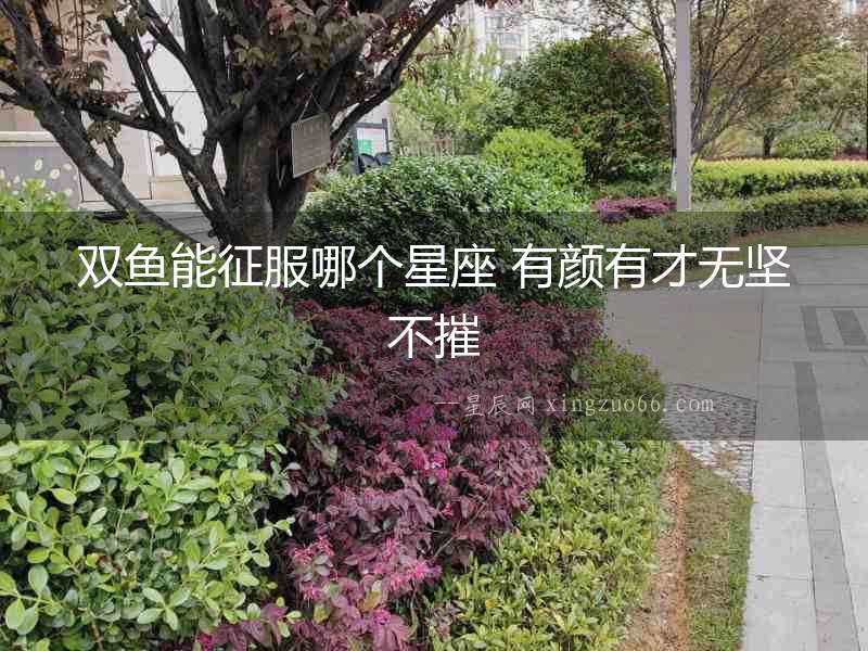 雙魚能征服哪個星座 有顏有才無堅不摧