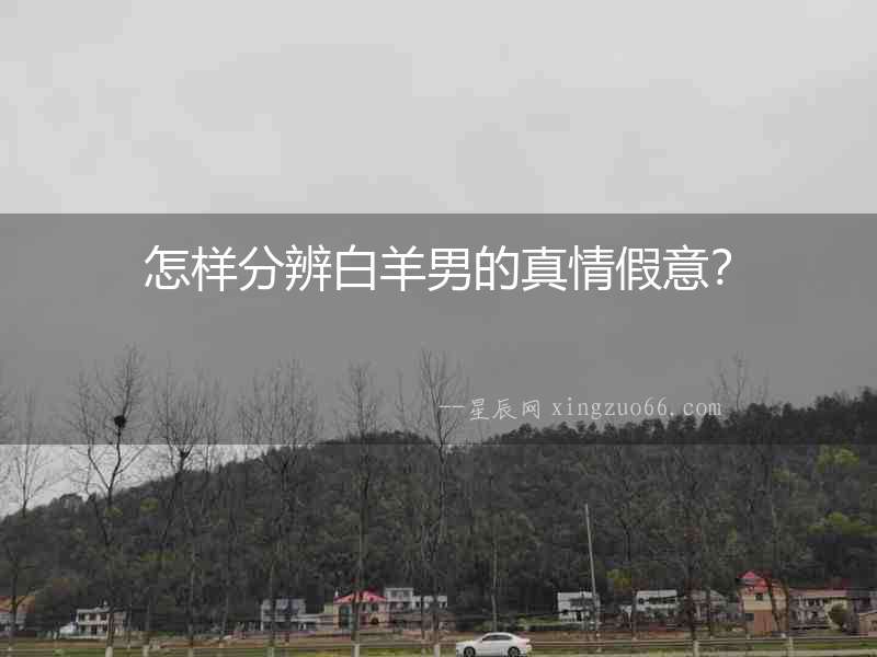 怎樣分辨白羊男的真情假意？