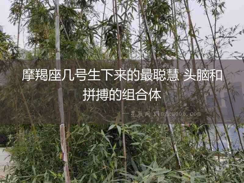 摩羯座幾號生下來的最聰慧 頭腦和拼搏的組合體