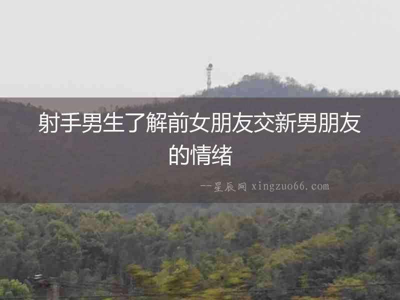 射手男生了解前女朋友交新男朋友的情緒