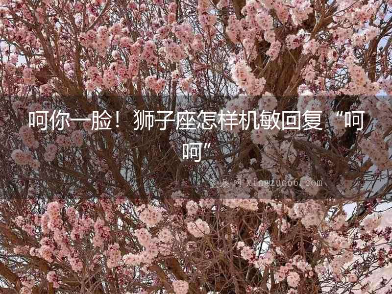 呵你一臉！獅子座怎樣機敏回復“呵呵”