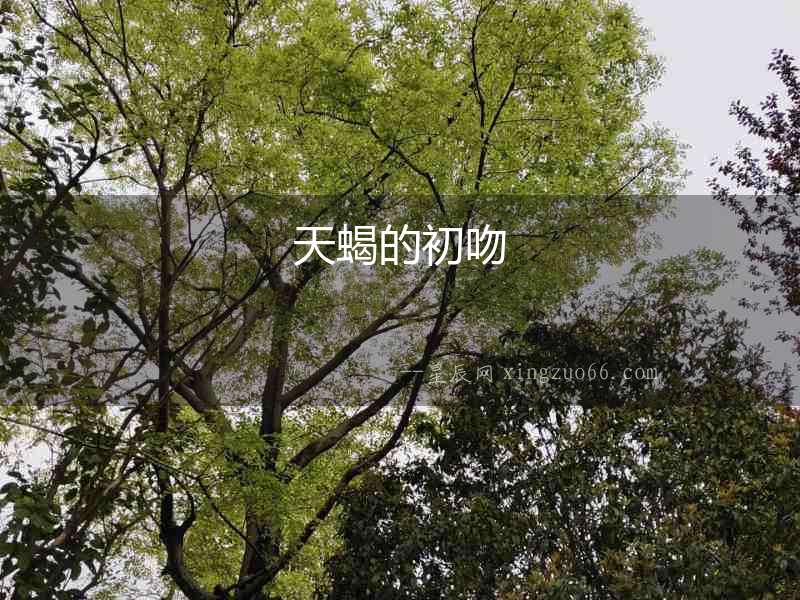 天蝎的初吻