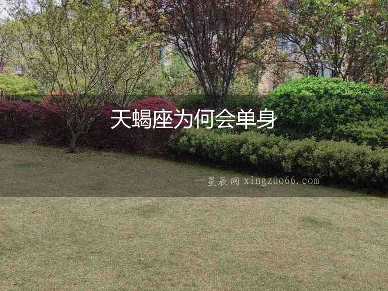 天蝎座為何會單身