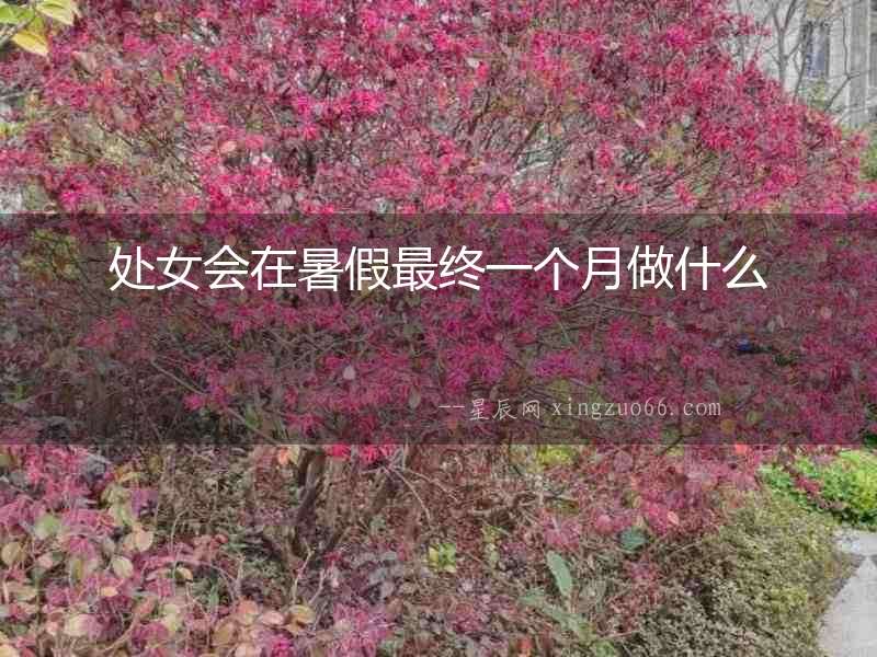 處女會在暑假最終一個月做什么