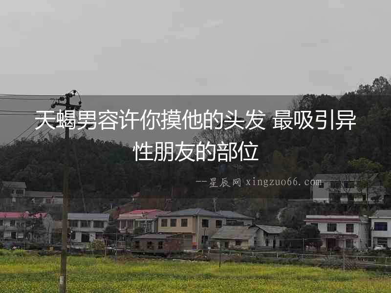 天蝎男容許你摸他的頭發 最吸引異性朋友的部位