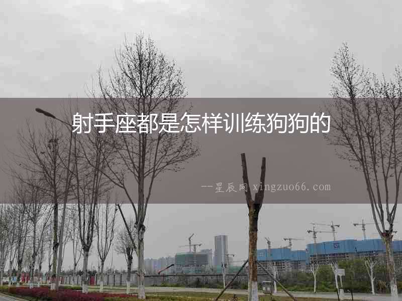 射手座都是怎樣訓練狗狗的