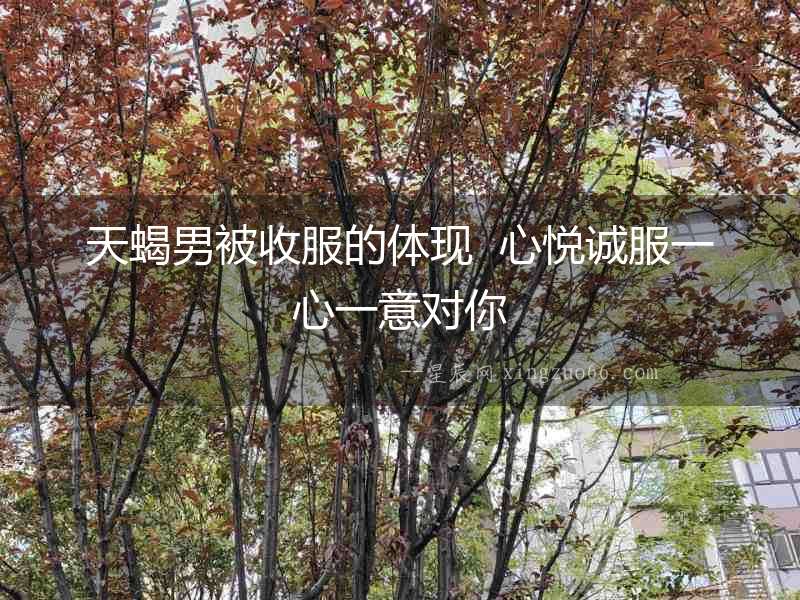 天蝎男被收服的體現(xiàn)  心悅誠服一心一意對(duì)你