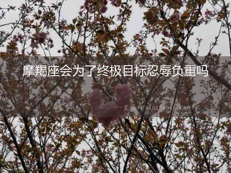 摩羯座會為了終極目標忍辱負重嗎