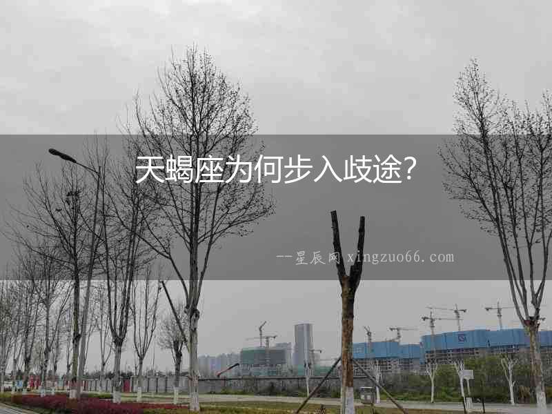天蝎座為何步入歧途？