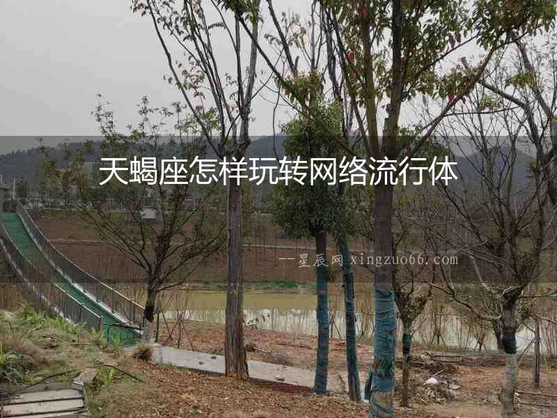 天蝎座怎樣玩轉(zhuǎn)網(wǎng)絡流行體