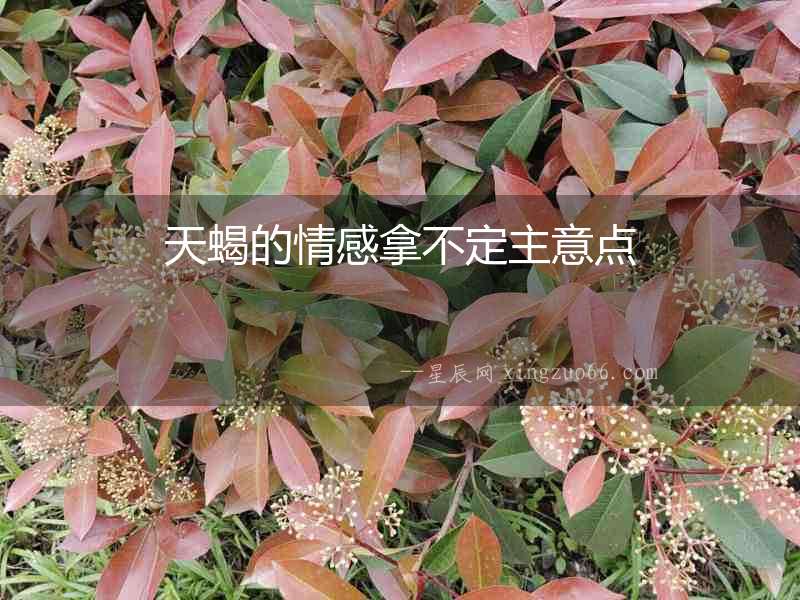 天蝎的情感拿不定主意點