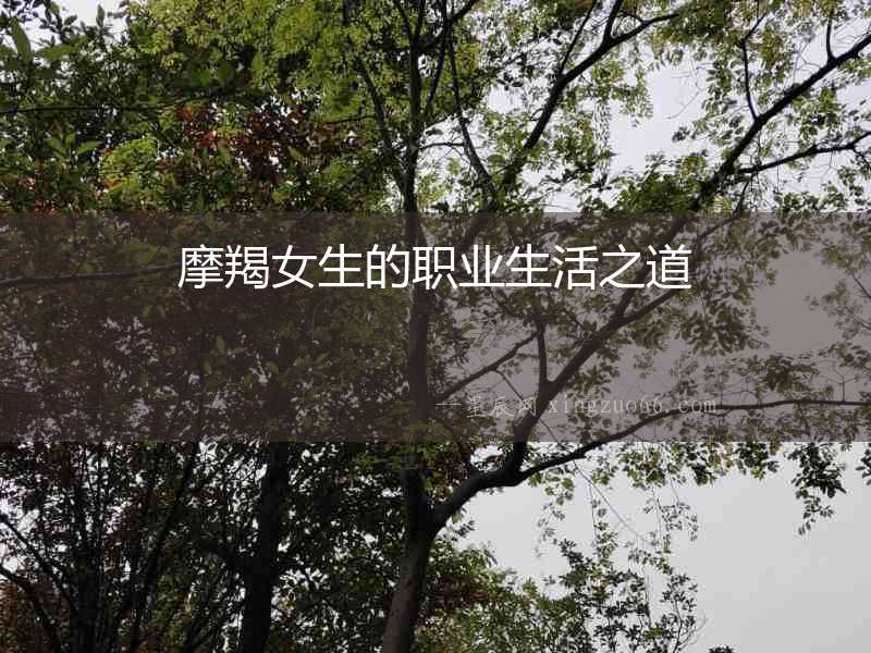 摩羯女生的職業生活之道