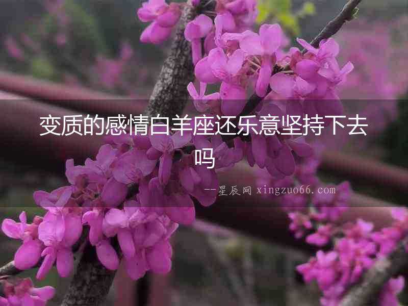 變質的感情白羊座還樂意堅持下去嗎