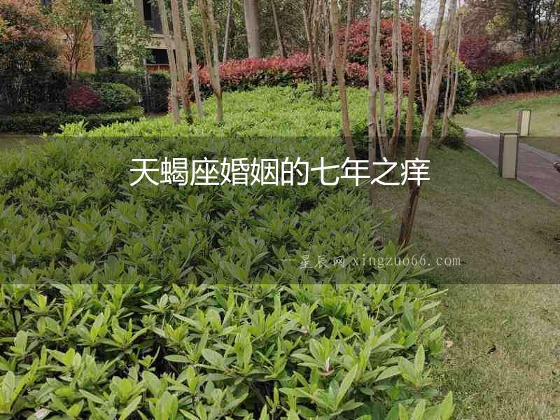 天蝎座婚姻的七年之癢