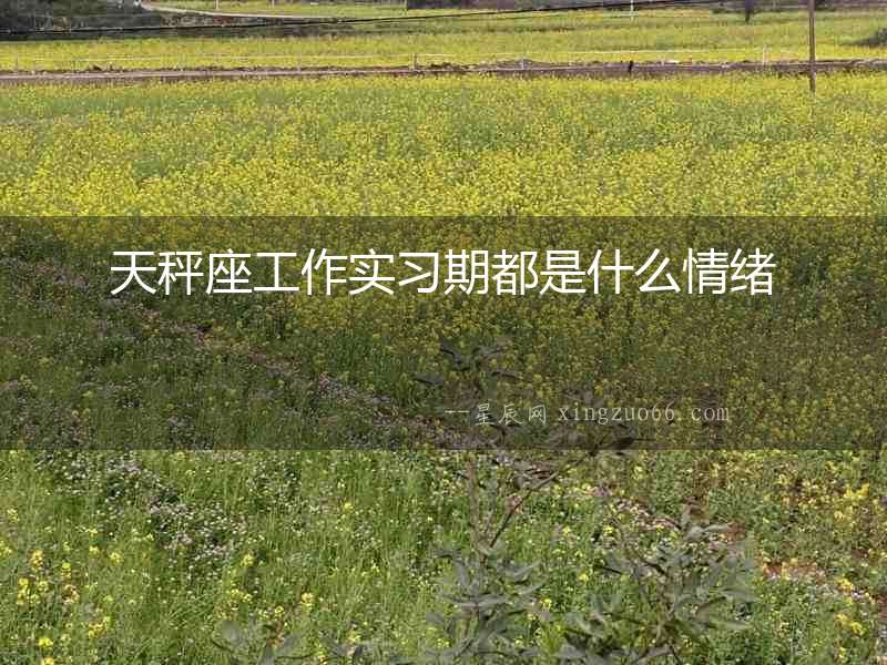 天秤座工作實(shí)習(xí)期都是什么情緒