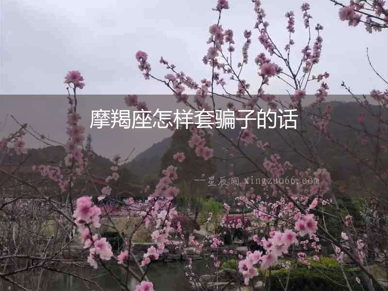 摩羯座怎樣套騙子的話