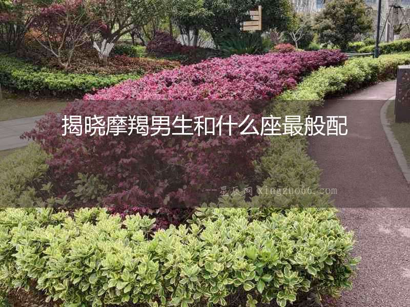 揭曉摩羯男生和什么座最般配