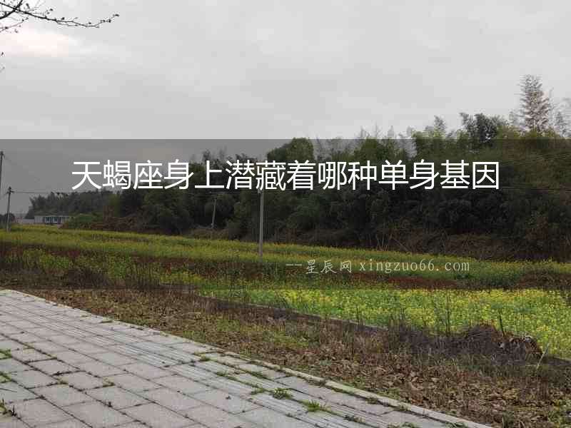 天蝎座身上潛藏著哪種單身基因