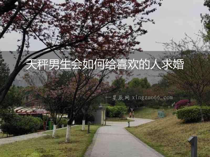 天秤男生會如何給喜歡的人求婚